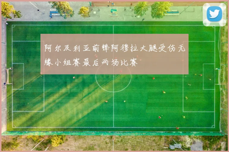 阿尔及利亚前锋阿穆拉大腿受伤无缘小组赛最后两场比赛