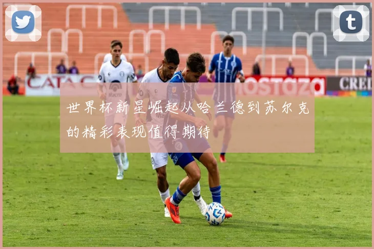 世界杯新星崛起从哈兰德到苏尔克的精彩表现值得期待
